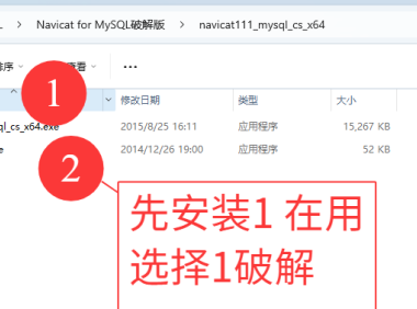 navicat绿色版工具安装教程  11.1.13  mysql8 以下使用